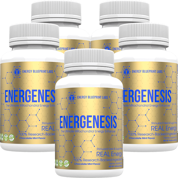 Energenesis The Energy Blueprint Store